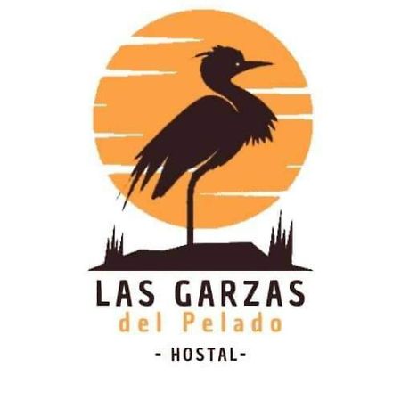 Hostal Las Garzas Del Pelado Плаяс Екстериор снимка