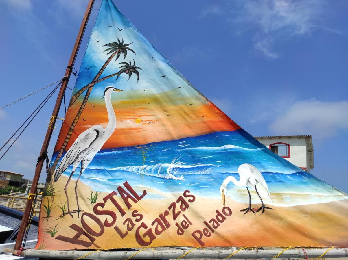 Hostal Las Garzas Del Pelado Плаяс Екстериор снимка